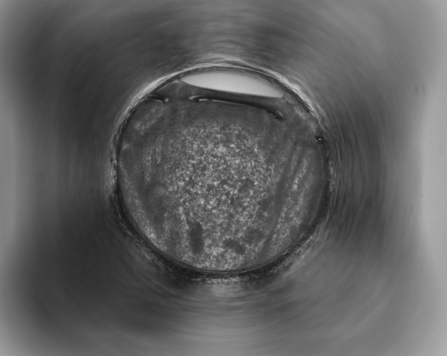 X0000093171363200710171220