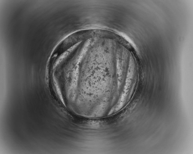 X0000093171364200710171220
