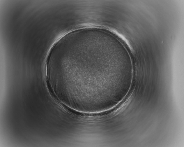 X0000093171365200710171220