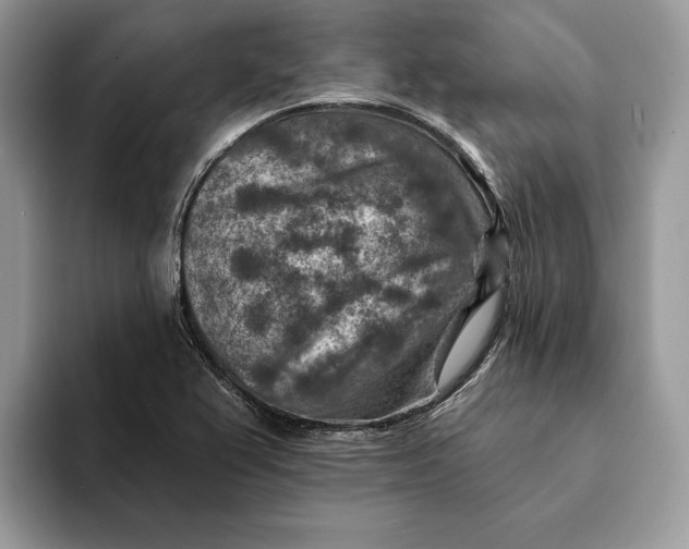 X0000093171367200710171220