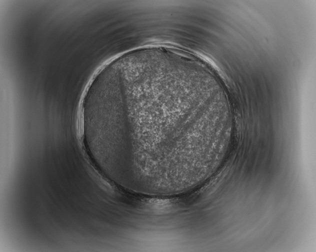X0000093171371200710171220