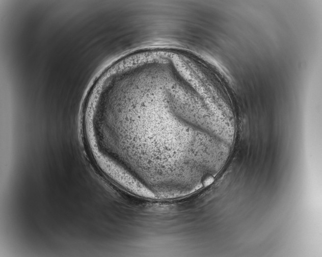 X0000093171374200710171220