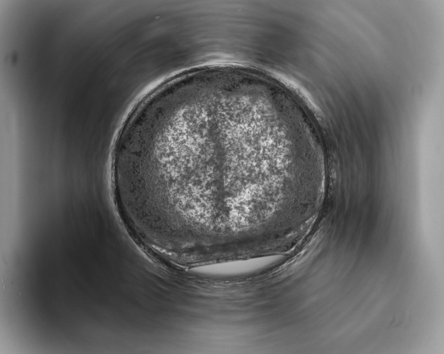 X0000093171375200710171220