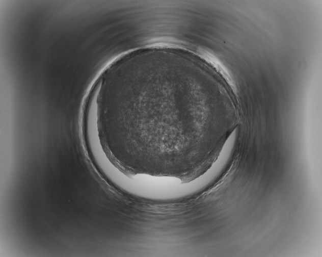 X0000093171376200710171220