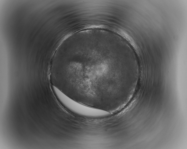 X0000093171377200710171220