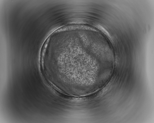 X0000093171378200710171220