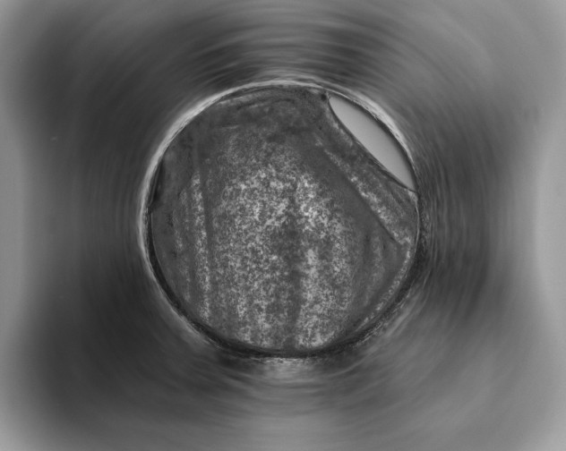 X0000093171379200710171220