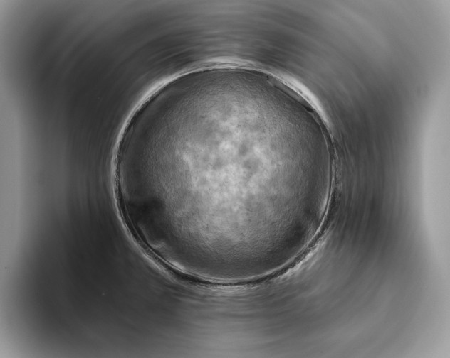 X0000093171381200710171220