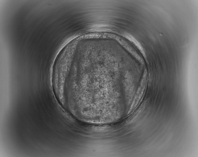 X0000093171386200710171220