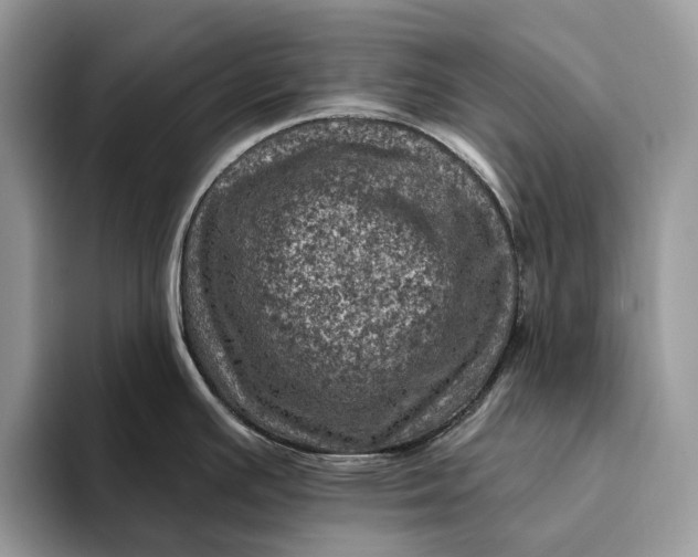 X0000093171391200710171220