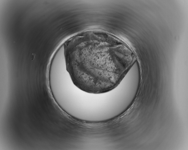 X0000093171392200710171220