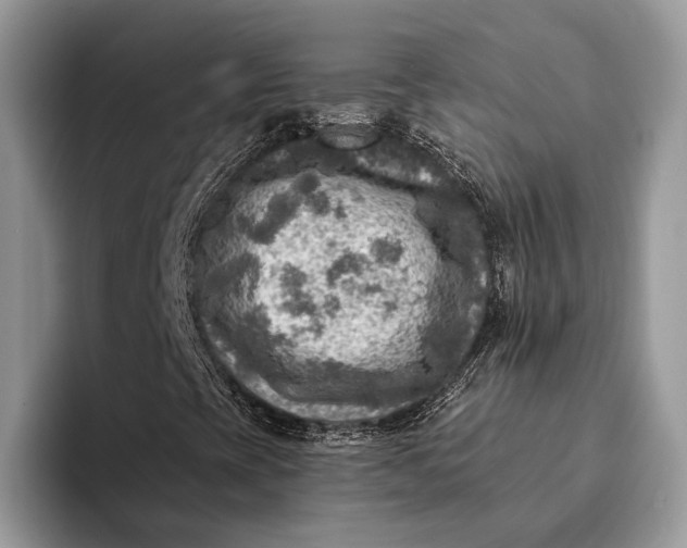 X0000093171393200710171219