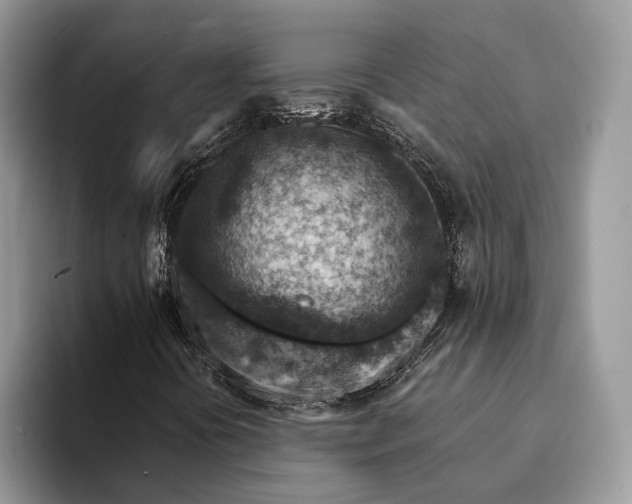 X0000093171394200710171219