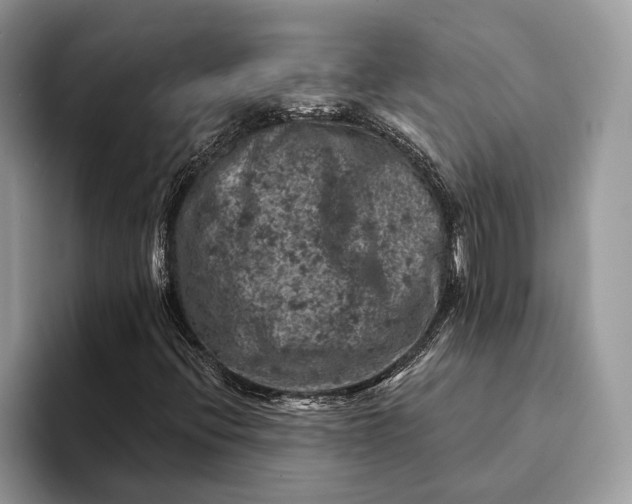 X0000093171396200710171219