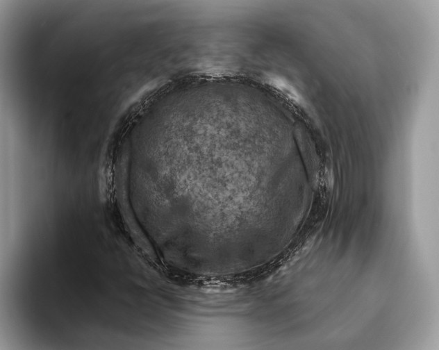 X0000093171398200710171219