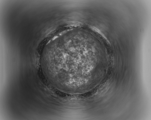 X0000093171399200710171219