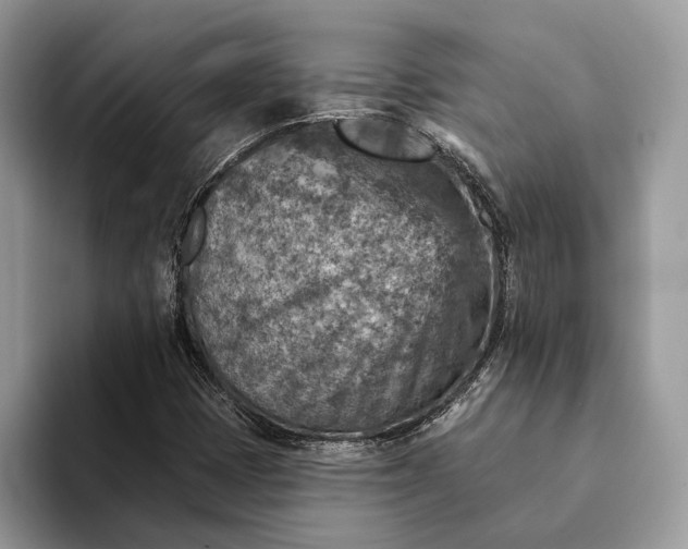X0000093171401200710171219