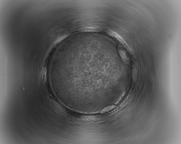 X0000093171402200710171219