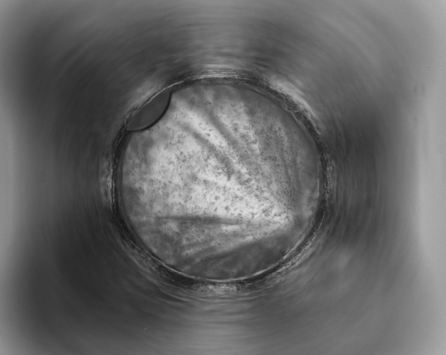 X0000093171403200710171219