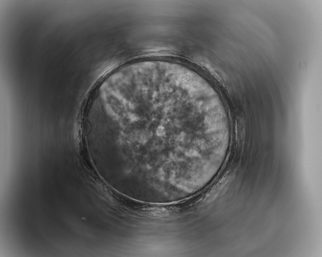 X0000093171405200710171219