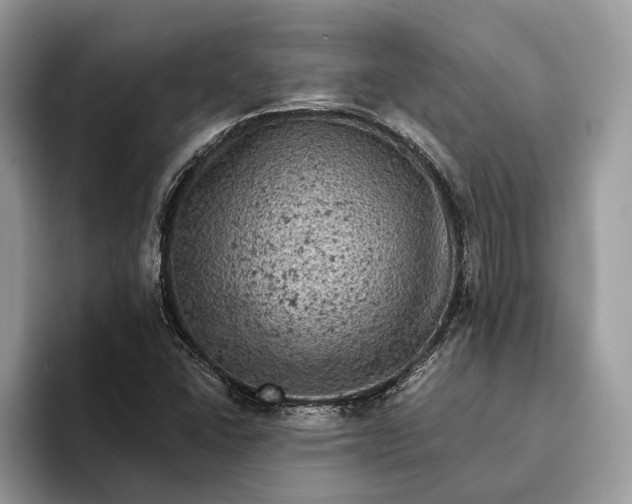 X0000093171406200710171219