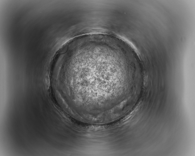 X0000093171407200710171219