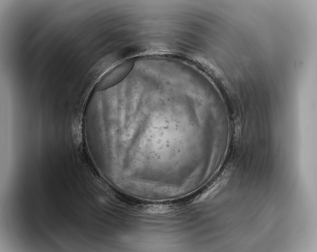 X0000093171409200710171219