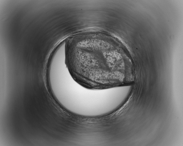 X0000093171410200710171219