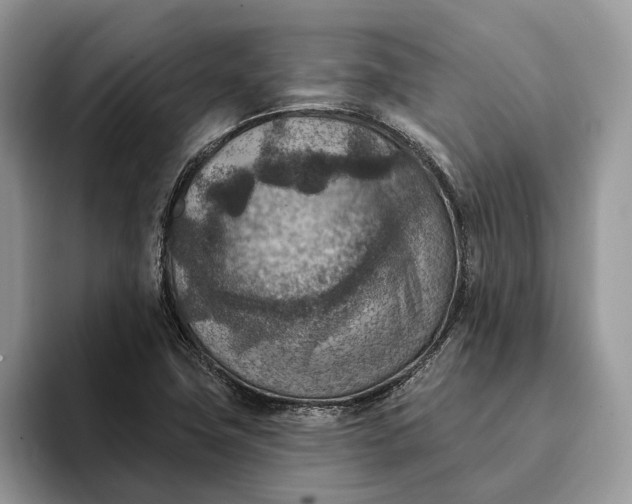 X0000093171411200710171219