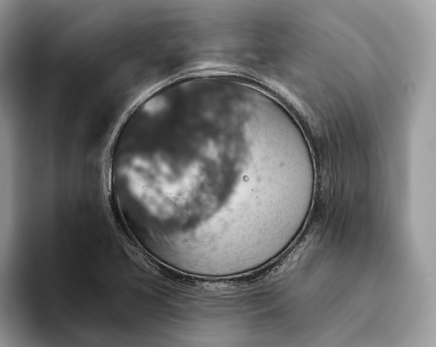 X0000093171413200710171219