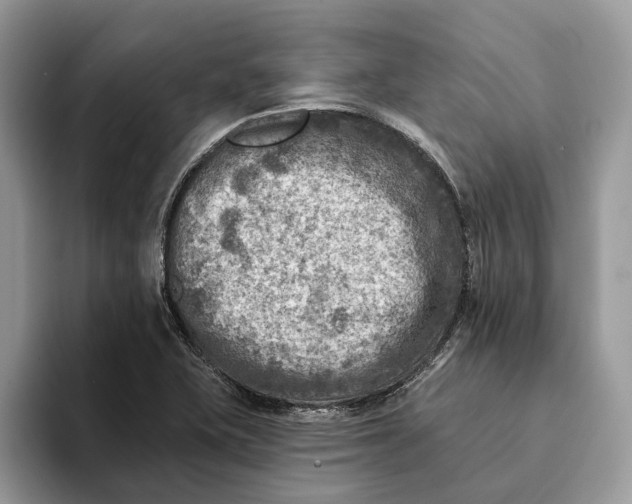 X0000093171415200710171219