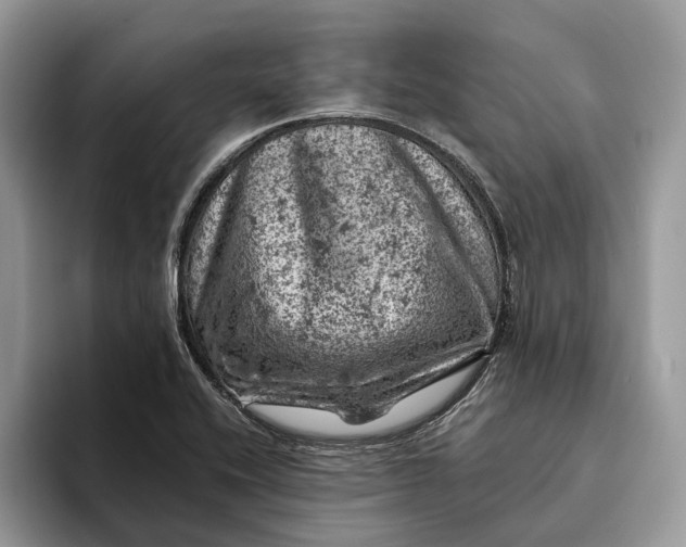 X0000093171416200710171219