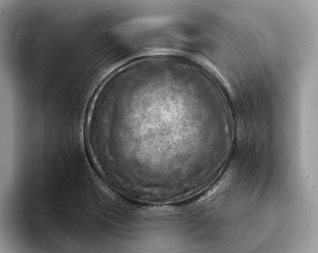 X0000093171417200710171219