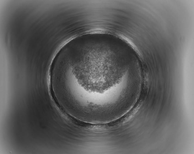 X0000093171418200710171219