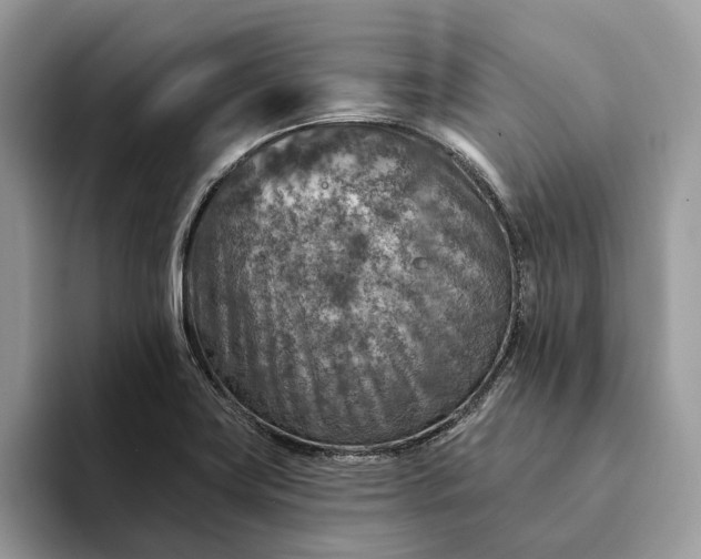 X0000093171419200710171220