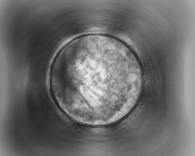 X0000093171421200710171220