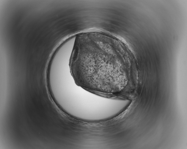 X0000093171422200710171220