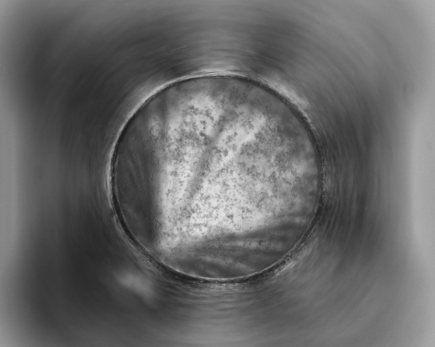 X0000093171423200710171220
