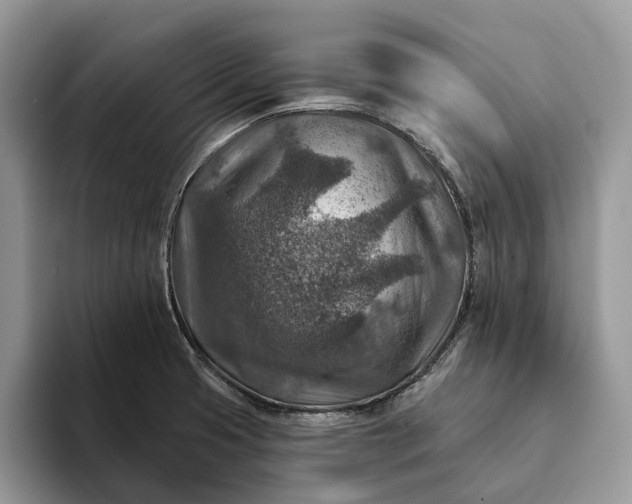 X0000093171425200710171220