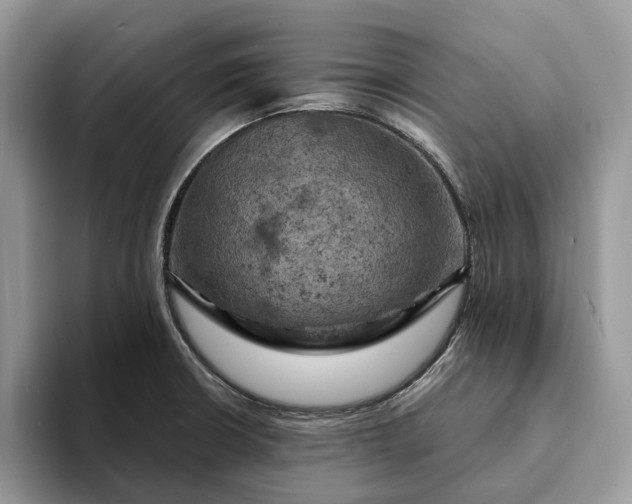 X0000093171426200710171220