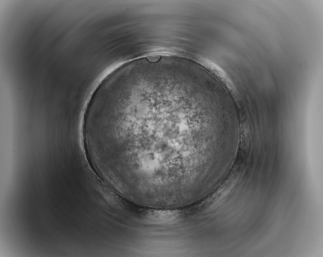 X0000093171427200710171220
