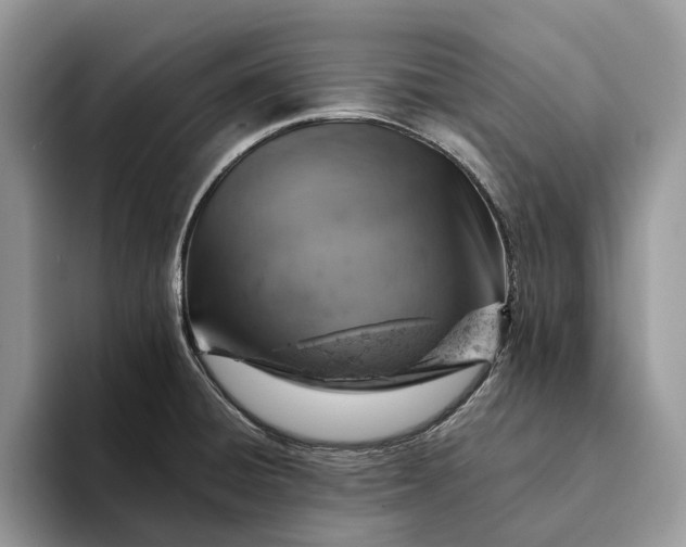 X0000093171428200710171220