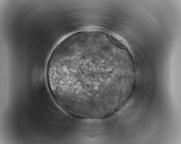 X0000093171429200710171220