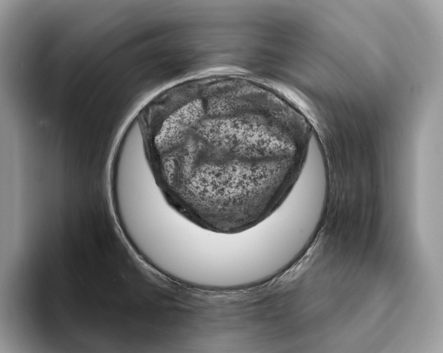 X0000093171430200710171220