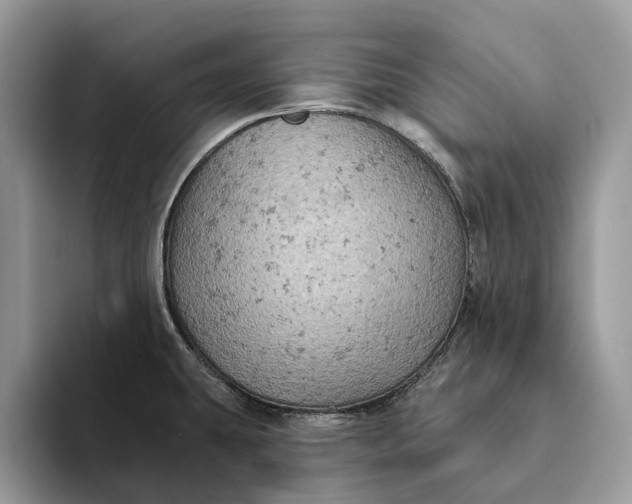 X0000093171431200710171220