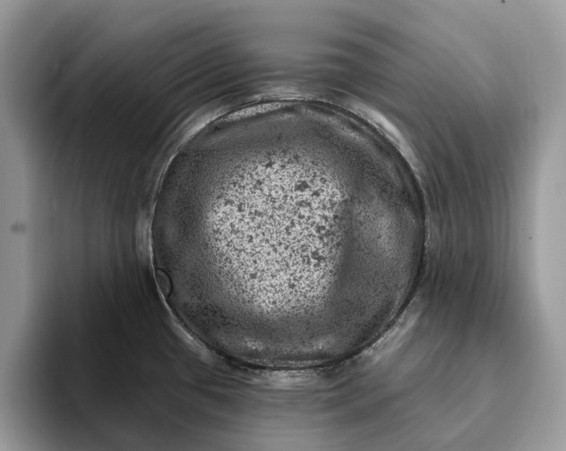 X0000093171433200710171220