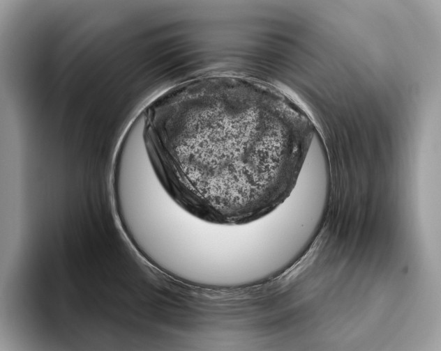 X0000093171434200710171220