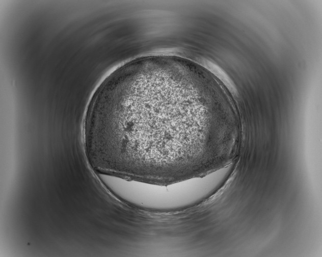 X0000093171436200710171220