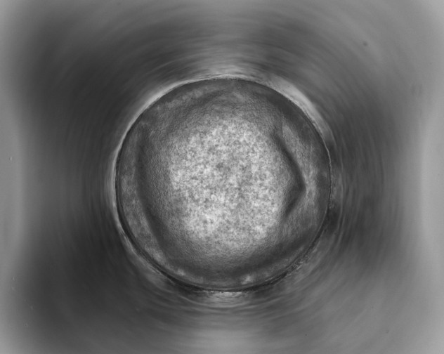 X0000093171439200710171220