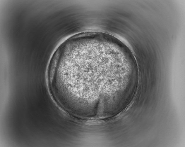 X0000093171440200710171220